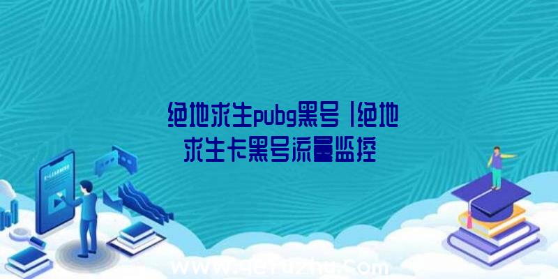 「绝地求生pubg黑号」|绝地求生卡黑号流量监控